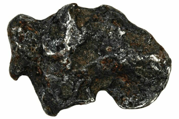 Gebel Kamil Iron Meteorite ( g) - Egypt #302609